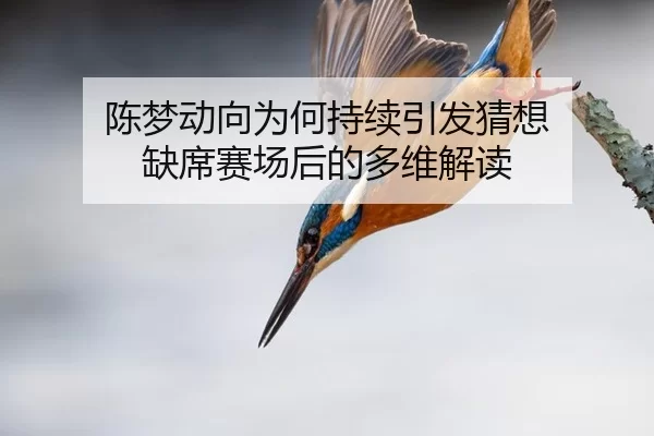 陈梦动向为何持续引发猜想 缺席赛场后的多维解读